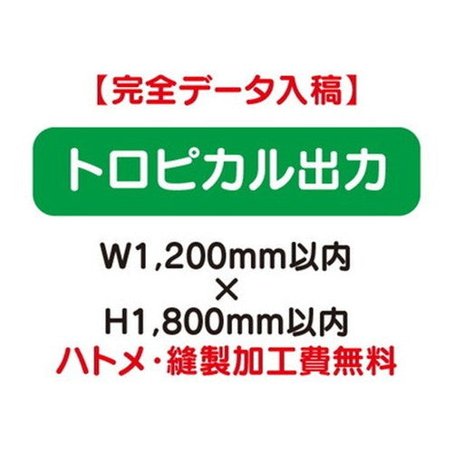 特注オーダー品トロピカル出力W1200×H1800の商品画像