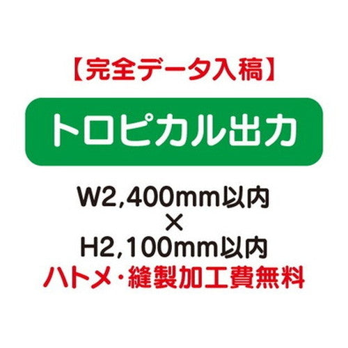 特注オーダー品トロピカル出力W2400×H2100の商品画像