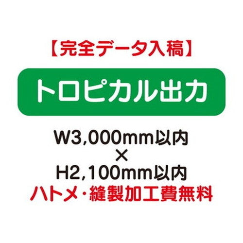 特注オーダー品トロピカル出力W3000×H2100の商品画像