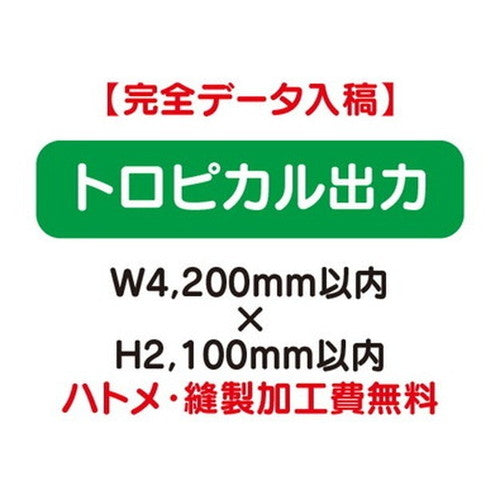 特注オーダー品トロピカル出力W4200×H2100の商品画像