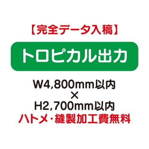 特注オーダー品トロピカル出力W4800×H2700の商品画像
