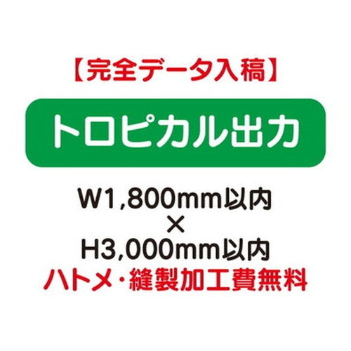 特注オーダー品トロピカル出力W1800×H3000の商品画像
