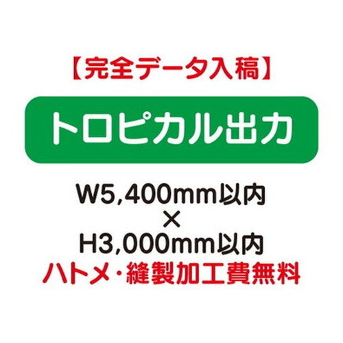 特注オーダー品トロピカル出力W5400×H3000の商品画像