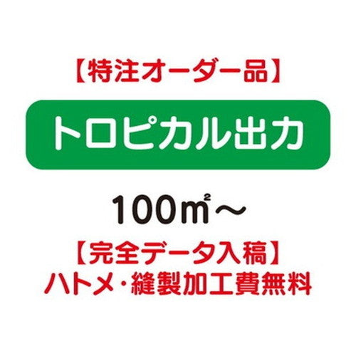特注オーダー品トロピカル出力100&#13217;～の商品画像