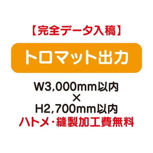 特注オーダー品トロマット出力W3000×H2700の商品画像