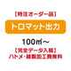 特注オーダー品トロマット出力100㎡～の商品画像