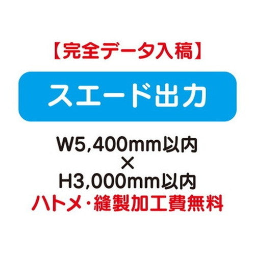 特注オーダー品スエード出力W5400×H3000の商品画像