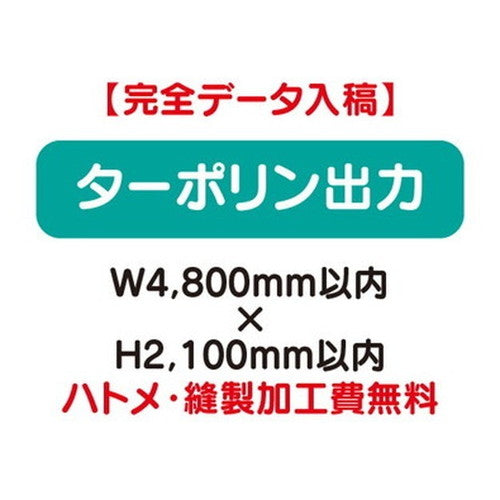 特注オーダー品ターポリン出力W4800×H2100の商品画像