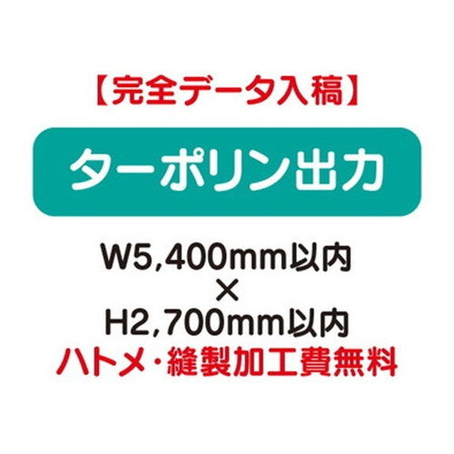 特注オーダー品ターポリン出力W5400×H2700の商品画像