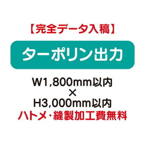 特注オーダー品ターポリン出力W1800×H3000の商品画像