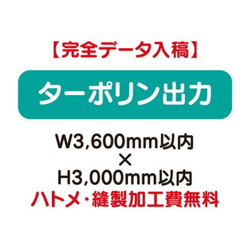 特注オーダー品ターポリン出力W3600×H3000の商品画像