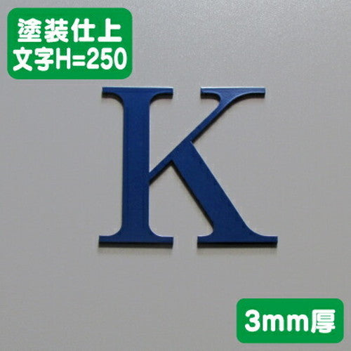 ステンレス切文字塗装仕上げ3mm厚文字H=250の商品画像