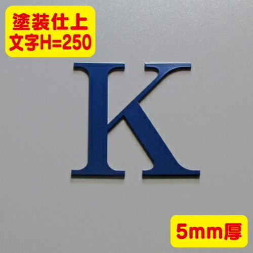 ステンレス切文字塗装仕上げ5mm厚文字H=250の商品画像