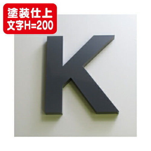 ステンレス箱文字塗装仕上げ文字H=200の商品画像