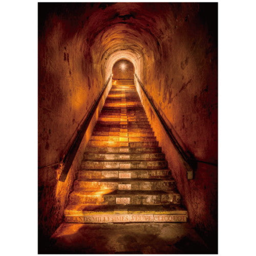 ヴーヴ・クリコ ホワイトラベル ドゥミ・セック 正規品 750ml