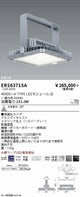 遠藤照明高天井用照明ERS6371SA耐塩軽量フラッドライトの商品画像