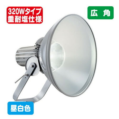 岩崎電気E30446M/NSAN2LED投光器レディオックフラッドスポラート