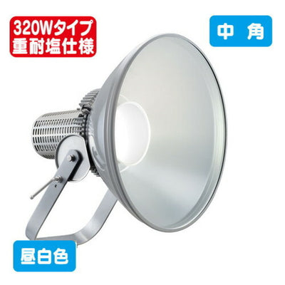 岩崎電気E30445W/NSAN2LED投光器レディオックフラッドスポラート