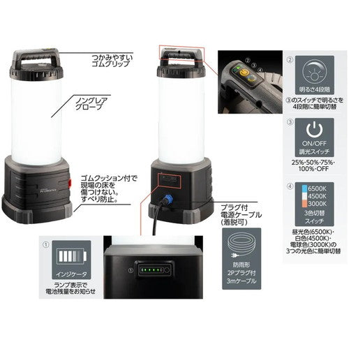 【岩崎電気】【工事現場用照明】 PWPB06010 レディオック プロワークス ハンディワークライト 60W