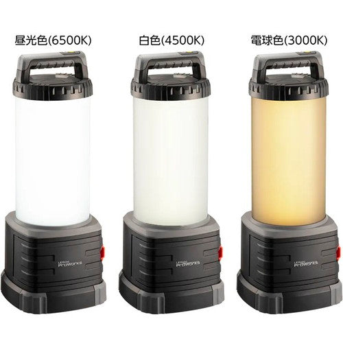 【岩崎電気】【工事現場用照明】 PWPB06010 レディオック プロワークス ハンディワークライト 60W