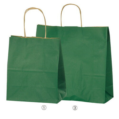店舗用品ラッピング用品カラー手提げ紙袋グリーン21×12×25cmの商品画像