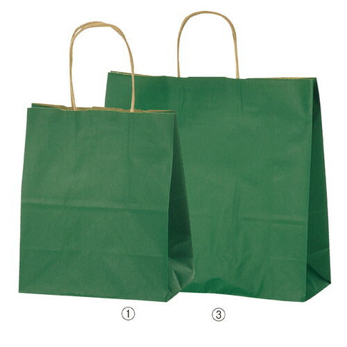 店舗用品ラッピング用品カラー手提げ紙袋グリーン32×11.5×41cmの商品画像