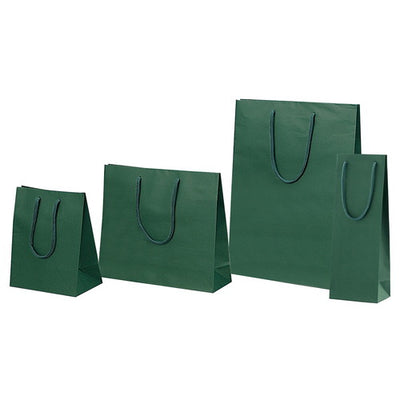 店舗用品ラッピング用品カラー手提げ紙袋グリーン20×12×25cmの商品画像
