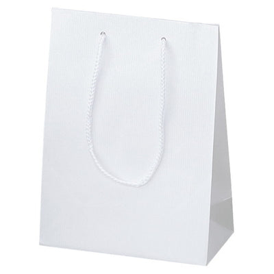 店舗用品ラッピング用品手提げ紙袋白ストライプエンボス17×8.5×23cmの商品画像