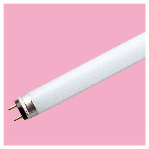 店舗用品照明プリンス電機スーパーライン白色FLR48T6Wの商品画像
