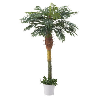 店舗用品演出用品デラックスパームツリー180cm【フェイクグリーン/人工樹木】パームツリーの商品画像