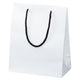 店舗用品ラッピング用品マット貼り紙袋白22×12×27cmの商品画像