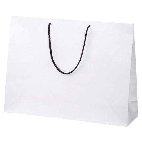 店舗用品ラッピング用品マット貼り紙袋白55×15×41cmの商品画像