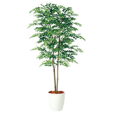 店舗用品演出用品アカシアデュアル(人工樹木)150cm(光触媒加工)の商品画像