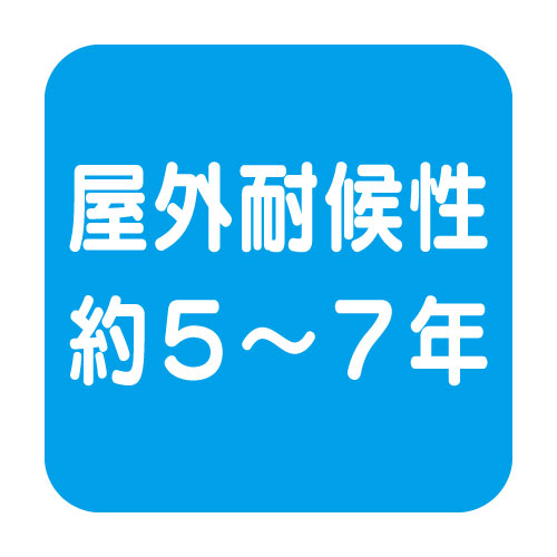 【ロール販売】【ダイナカルサインDSシリーズ】DS4873 (ライプトマト)10m トーヨーケム