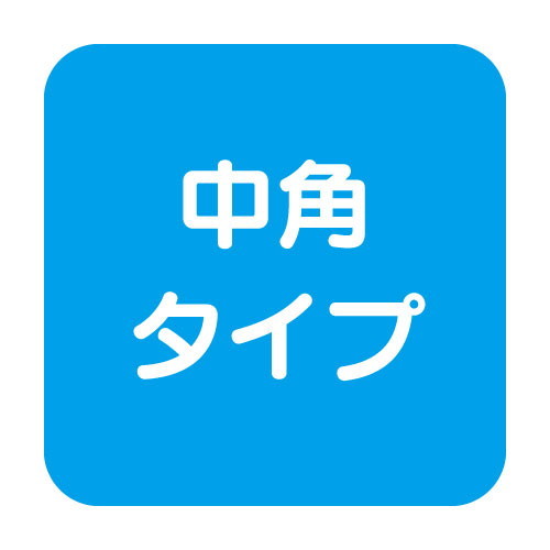 【岩崎電気】【高天井照明】【高天井led】EHCL0212M/NSAN2/B 高天井用照明 レディオック ミューズ メタルハライドランプ400W相当 中角