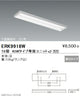 遠藤照明細管LEDベースライト本体40Wタイプ直付下面開放形ERK9918W※ユニット別売