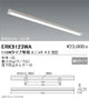 遠藤照明施設照明直管形LEDベースライト本体110Wタイプ直付反射笠付形2灯用ERK9123WA※ユニット別売