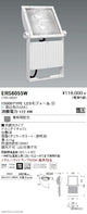遠藤照明アウトドアライト軽量コンパクトスポットライト(看板灯)本体看板用配光(ワイドフラッド)白艶消15000TYPE