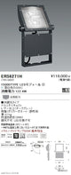 遠藤照明アウトドアライト軽量コンパクトスポットライト(看板灯)本体拡散配光ダークグレー15000TYPE
