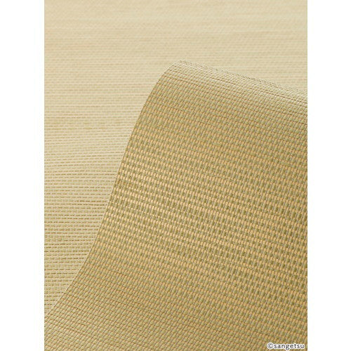 【1m単位切売】サンゲツ クロス エクセレクト カゲトヒカリ SGP1766