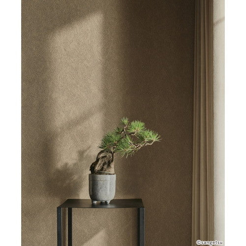 【1m単位切売】サンゲツ クロス エクセレクト 土 / 珪藻土 SGM1409