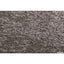 サンゲツ カーペットタイルDT NATURE ボイスオブツリー DT-4250【1枚単位】| 光や木々、水、石など自然の美しさをモチーフにした有機的なデザイン