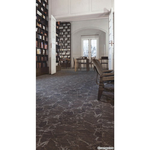 サンゲツ カーペットタイルDT FLOTEX フロテックス 25×100cm DT-1200【1枚単位】| カーペットと硬質素材の長所を併せ持つ機能性に優れた繊維系床材
