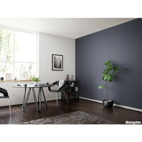 【1m単位切売】サンゲツ クロス リザーブ process#100