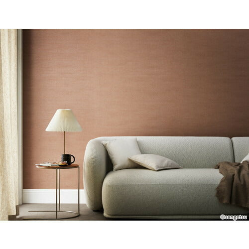 【1m単位切売】サンゲツ クロス リザーブ process#100