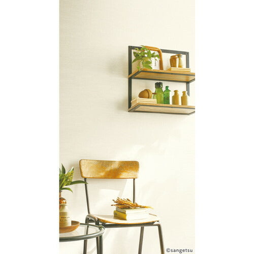 【1m単位切売】サンゲツ クロス リザーブ ベースセレクション RE55193