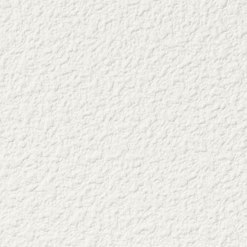 【1m単位切売】サンゲツ クロス リザーブ 天井 RE55202