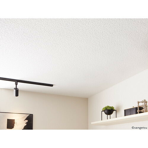 【1m単位切売】サンゲツ クロス リザーブ 天井 RE55203