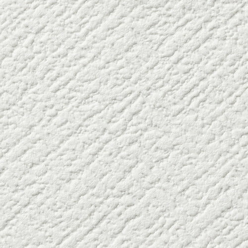 【1m単位切売】サンゲツ クロス リザーブ 天井 RE55204