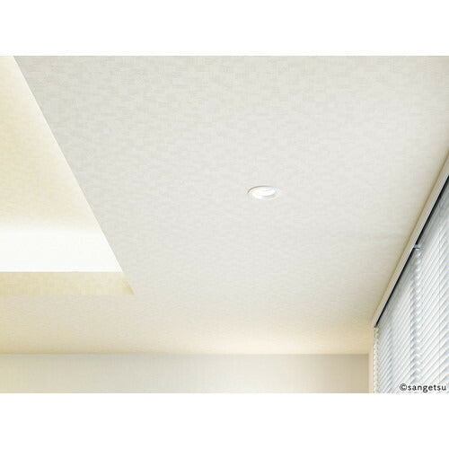 【1m単位切売】サンゲツ クロス リザーブ 天井 RE55205